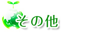 その他